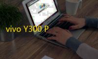 vivo Y300 Pro 即将发布，或搭载 6500mAh 超大电池
